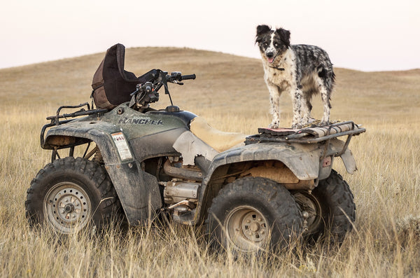 The Best Items to Keep on Your ATV